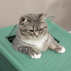 Dash Dock Essential:  Fully Enclosed Cat Litter Box Portable Pet Toilet With Spoon Large Space