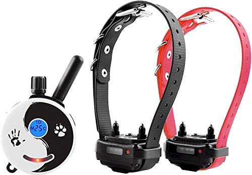 Mini Educator E-Collar ET-300 / ET-302 Dog Training Collar System with Remote - 1/2 Mile Range - WaterProof Vibration Tapping Sensation - includes eOutletDeals Pet Towel (2 Dog System - ET-302 ZEN)