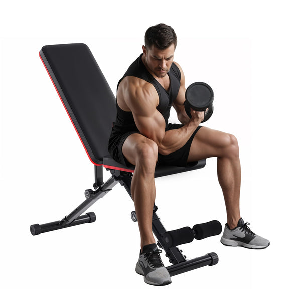 Dash Dock Essential: Adjustable Weight Bench 795LB Capacity Foldable Workout Bench Press for Home Gym Full Body Exercise and Strength Training Lifting Sit-up Incline Decline Flat Utility Bench 2 Sec Fast Folding